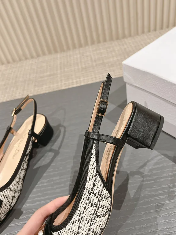 Dior Shoe 